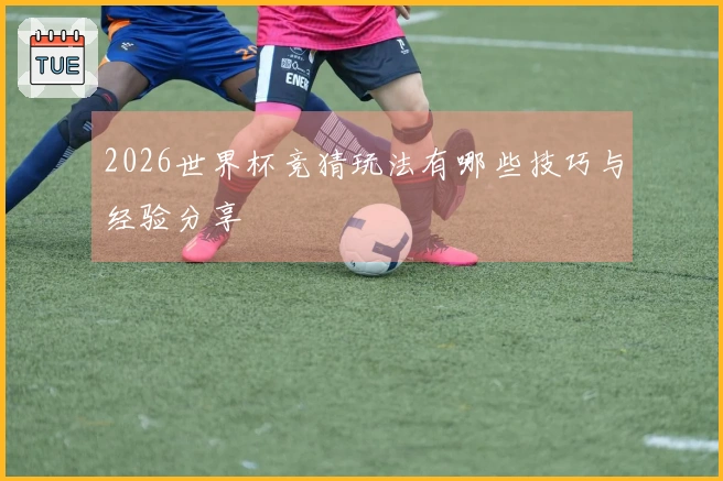 2026世界杯竞猜玩法有哪些技巧与经验分享