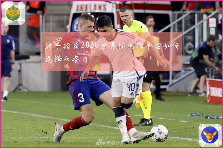 新手指南2026世界杯竞猜平台如何选择和参与