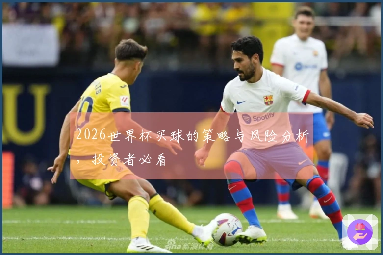 2026世界杯买球的策略与风险分析，投资者必看