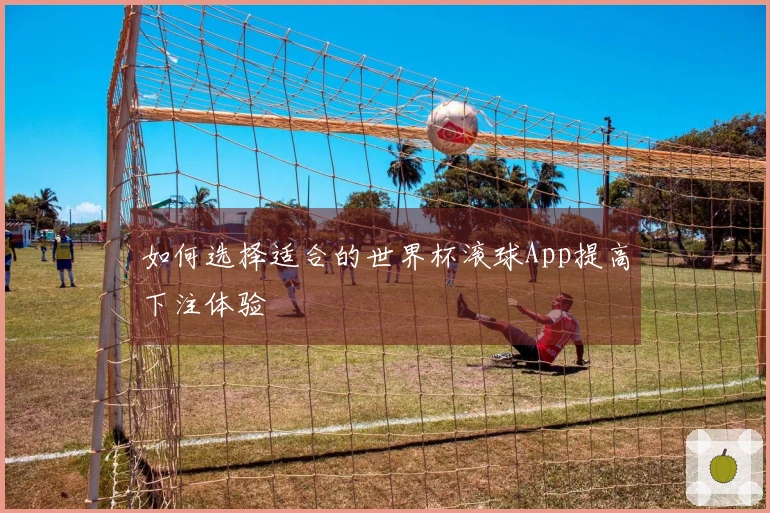 如何选择适合的世界杯滚球App提高下注体验