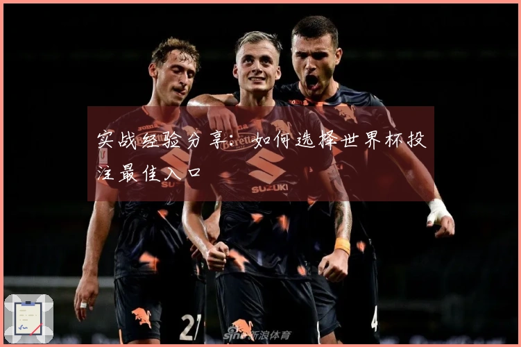 实战经验分享：如何选择世界杯投注最佳入口