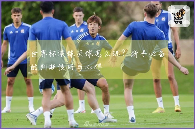 世界杯滚球买球怎么玩？新手必备的判断技巧与心得