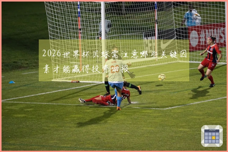 2026世界杯买球需注意哪些关键因素才能赢得投资回报