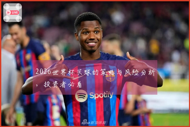 2026世界杯买球的策略与风险分析，投资者必看