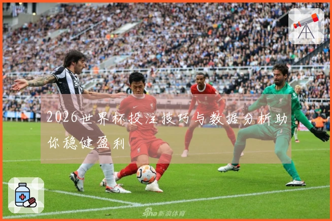 2026世界杯投注技巧与数据分析助你稳健盈利