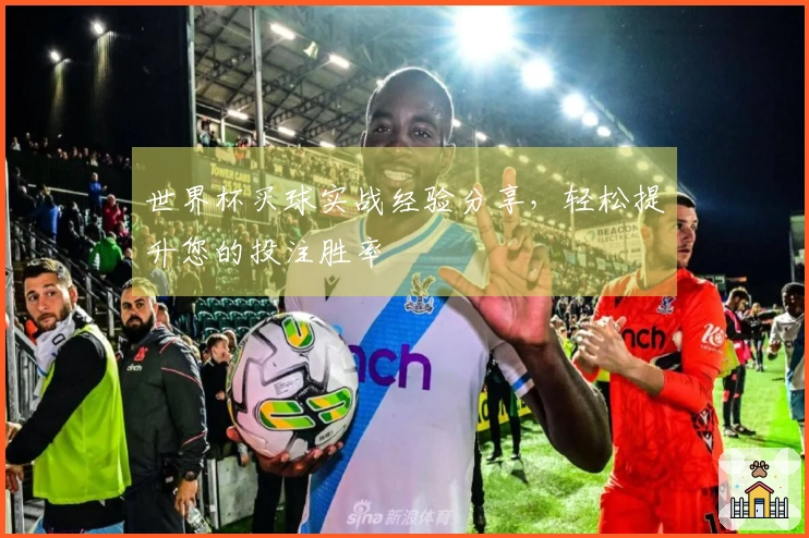 世界杯买球实战经验分享,轻松提升您的投注胜率