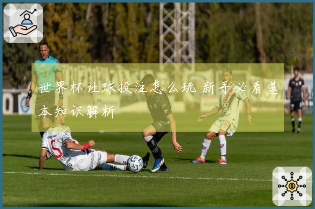 世界杯让球投注怎么玩 新手必看基本知识解析