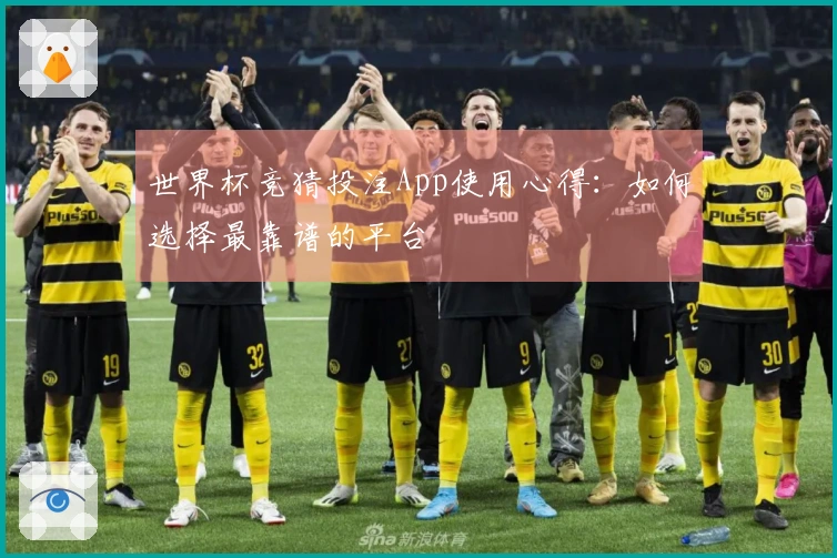 世界杯竞猜投注App使用心得：如何选择最靠谱的平台