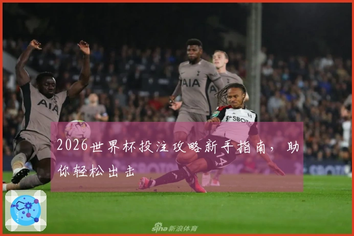 2026世界杯投注攻略新手指南，助你轻松出击