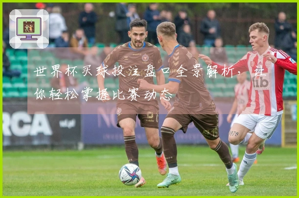 世界杯买球投注盘口全景解析，让你轻松掌握比赛动态