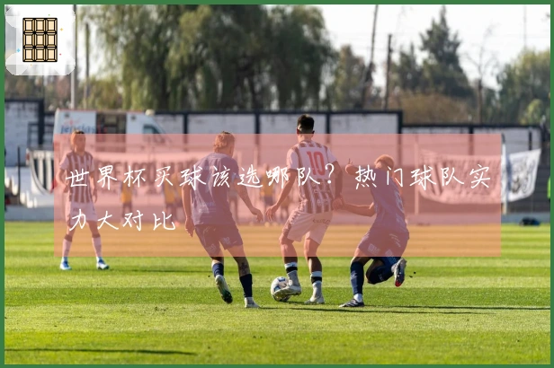 世界杯买球该选哪队？热门球队实力大对比
