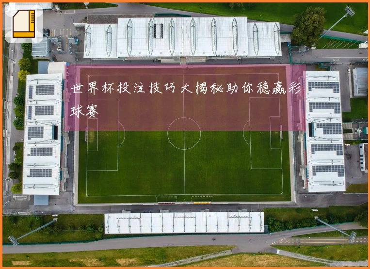 世界杯投注技巧大揭秘助你稳赢彩球赛