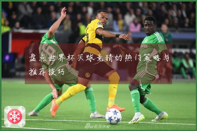 盘点世界杯买球竞猜的热门策略与推荐技巧