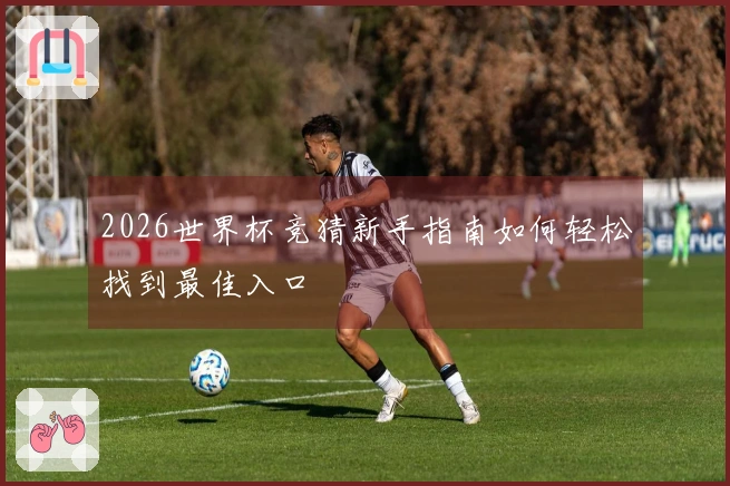 2026世界杯竞猜新手指南如何轻松找到最佳入口