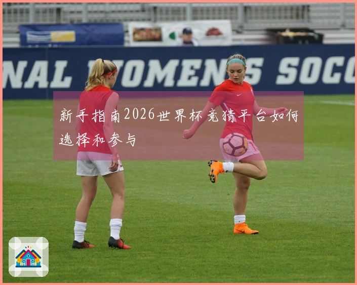 新手指南2026世界杯竞猜平台如何选择和参与