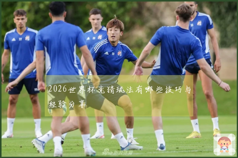 2026世界杯竞猜玩法有哪些技巧与经验分享