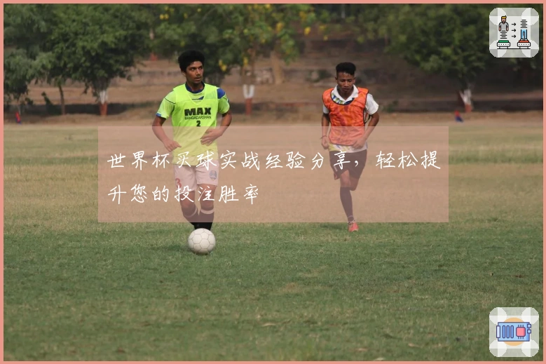 世界杯买球实战经验分享，轻松提升您的投注胜率