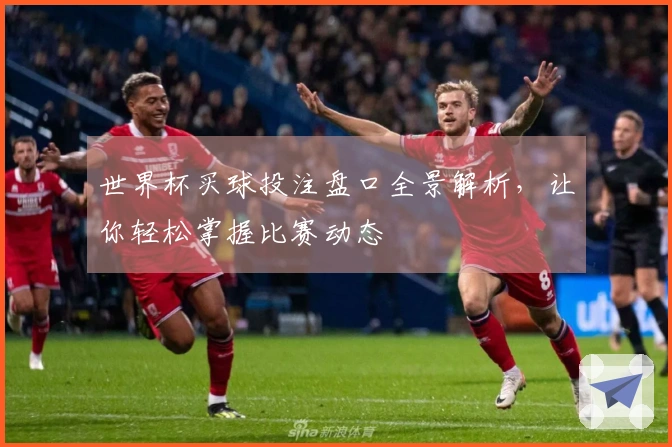 世界杯买球投注盘口全景解析，让你轻松掌握比赛动态