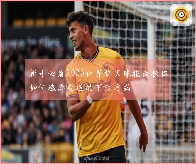 新手必看2026世界杯买球指南教你如何选择合适的下注方式