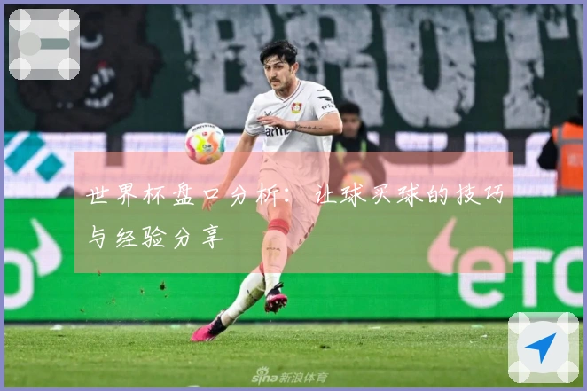 世界杯盘口分析：让球买球的技巧与经验分享