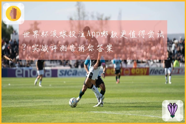 世界杯滚球投注App哪款更值得尝试？实战评测告诉你答案
